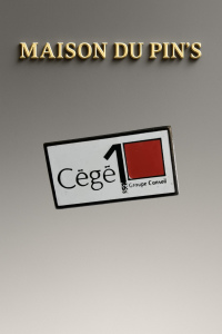 Pin's Cégé1 Groupe Conseil